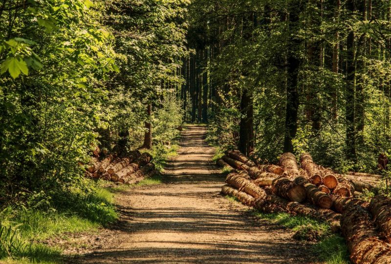 Maak een wonderbaarlijke roadtrip door Friesland 