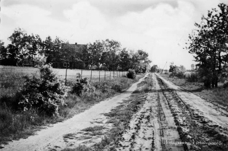Heringsaweg