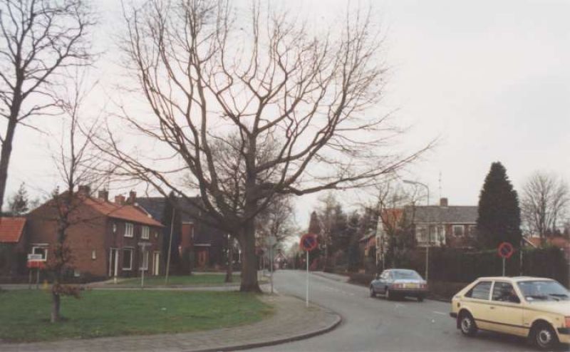 Bentinckstraat