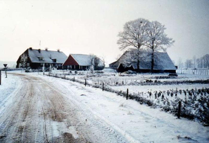 Schaarweg