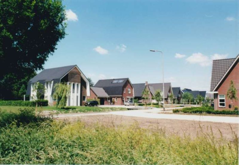 Roerdomp