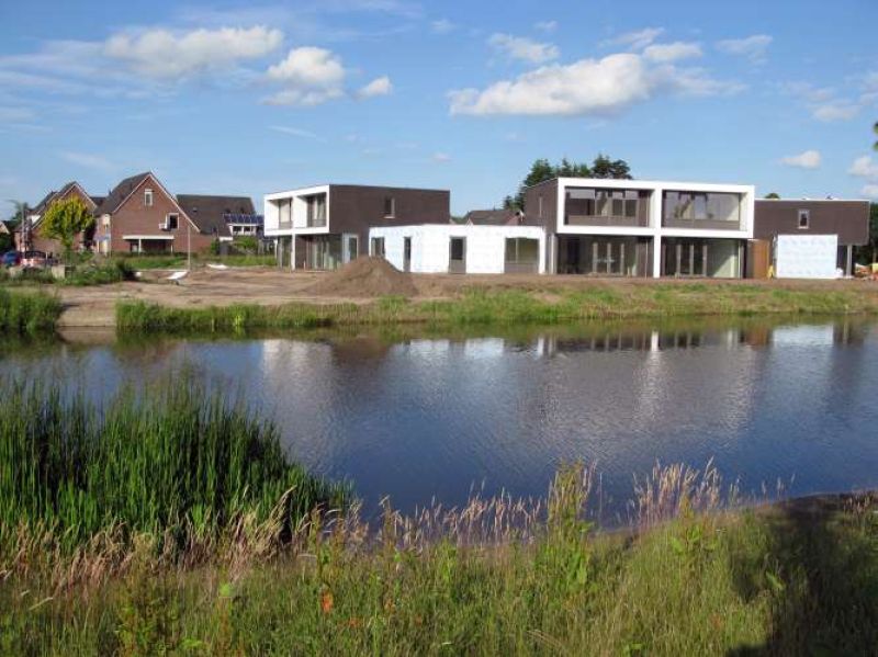 De Aalscholver