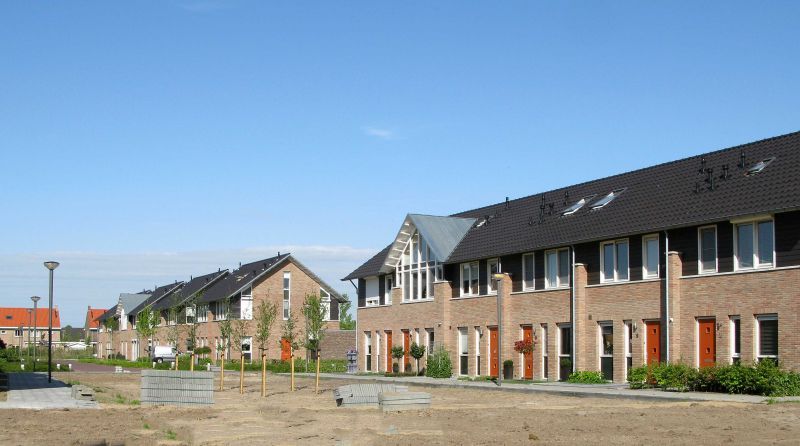IJsvogel