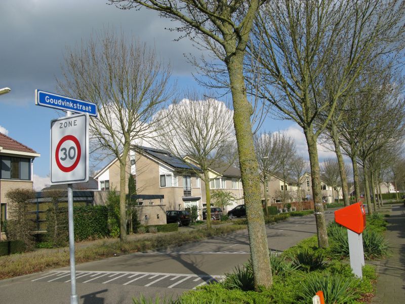 Goudvinkstraat