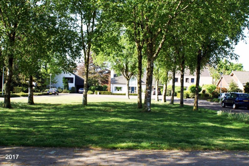 Meester Kuijpersplein