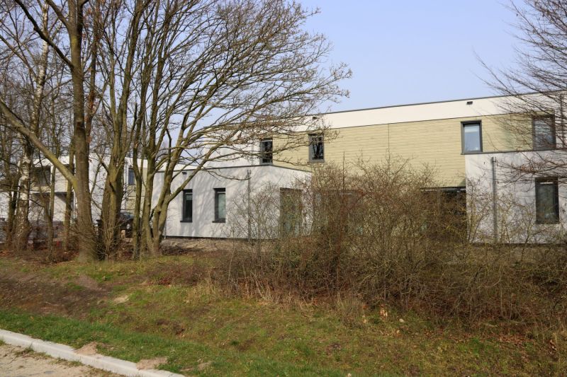 De Steenuil