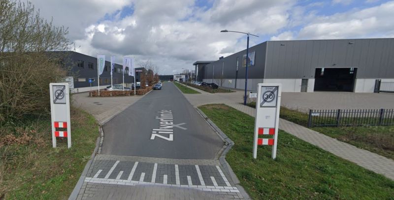 Zilverlinde