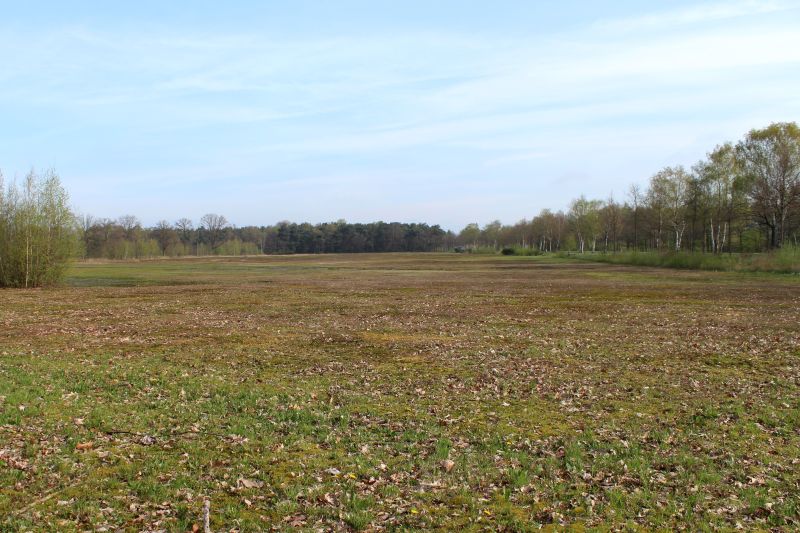 Tijdlijn